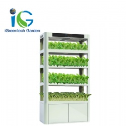 Home gardens led vertical tower garden hydroponic system grow box for house and garden