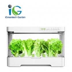 Small intelligent home hydroponic planting box for growing