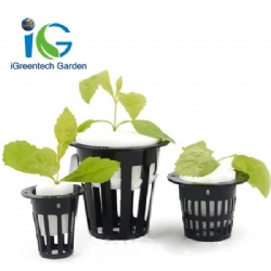 Soilless culture Seeds tray Hydroponic Planting sponge&foam