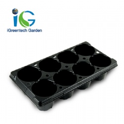 Seedling Trays kenya