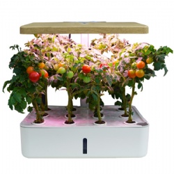 Intelligent Soilless Cultivation Flower Pot Hydroponic Planter